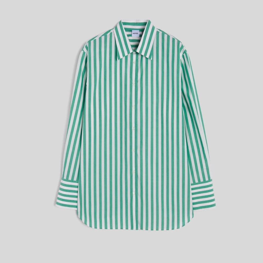 Wilfred Green Striped Casual Shirt